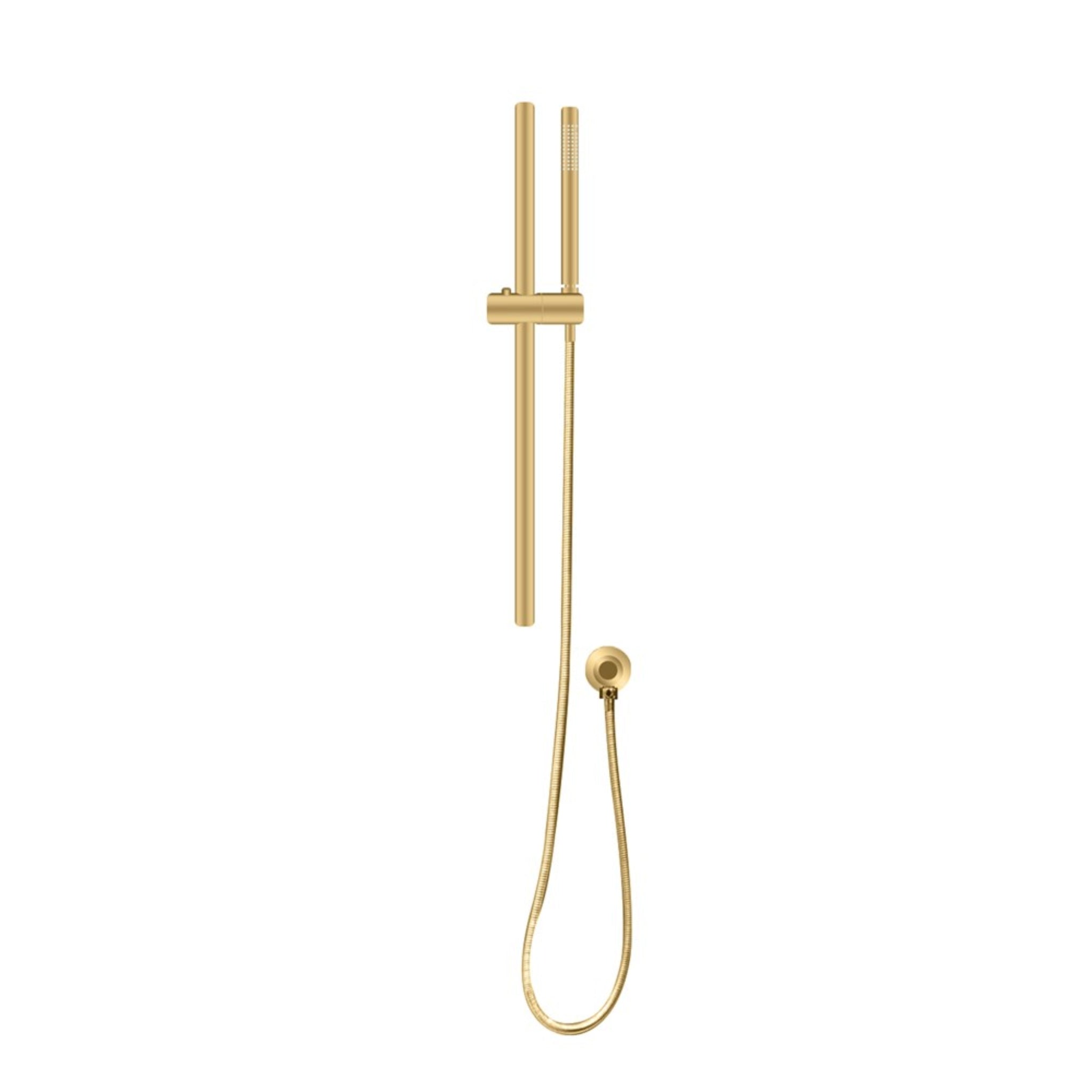 AQUAPERLA ROUND HANDHELD SHOWER RAIL BRUSHED BRASS