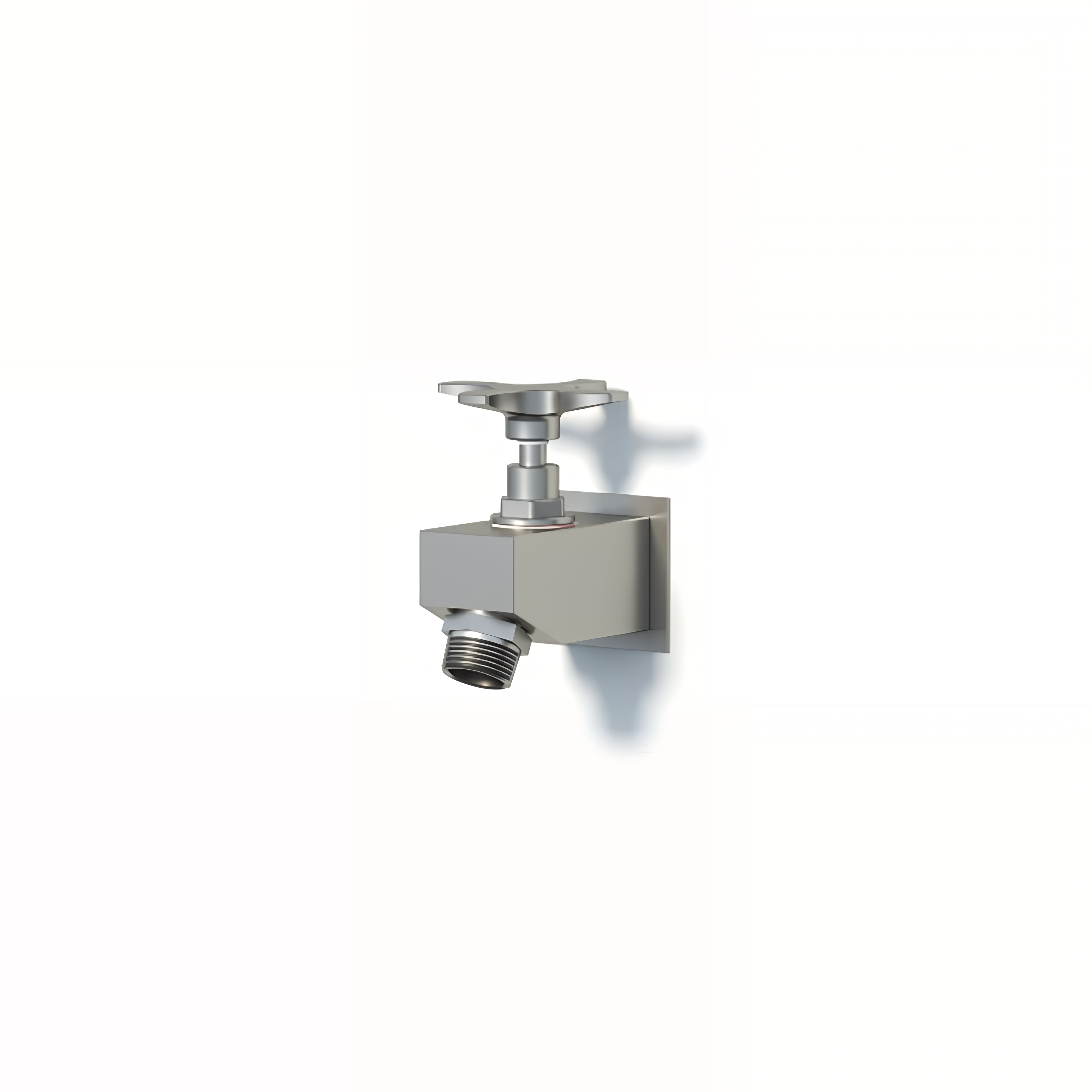 RAINWARE OUTDOOR FOOTWASH TAP STAINLESS STEEL