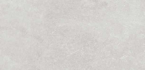 ELITE PLAZZO SILVER MATTE 300X600MM RECTANGULAR TILE (PER BOX)