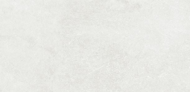 ELITE PLAZZO WHITE MATTE 300X600MM RECTANGULAR TILE (PER BOX)