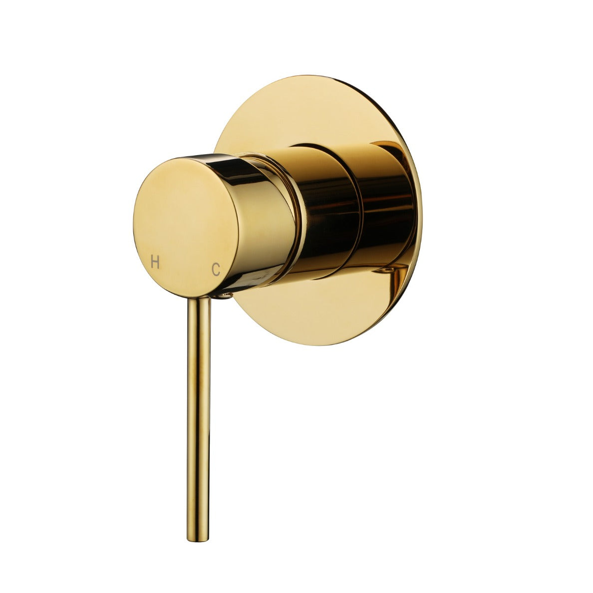 MODERN NATIONAL STAR MINI SHOWER MIXER TRIM KIT WITH UNIVERSAL BODY POLISHED BRASS